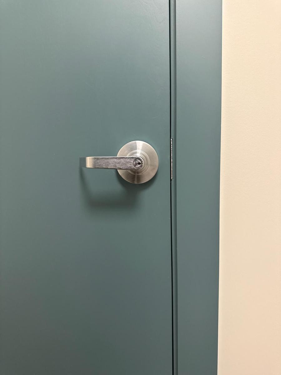 Bluefin brushed nickel door handle on green door